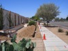 Cell Tower Conduit Installation